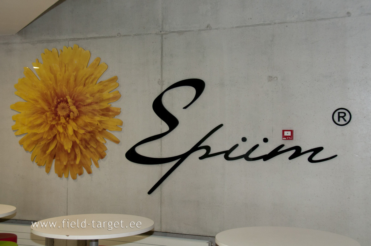 Rahulik koht mõistuse ja keha trimmimiseks